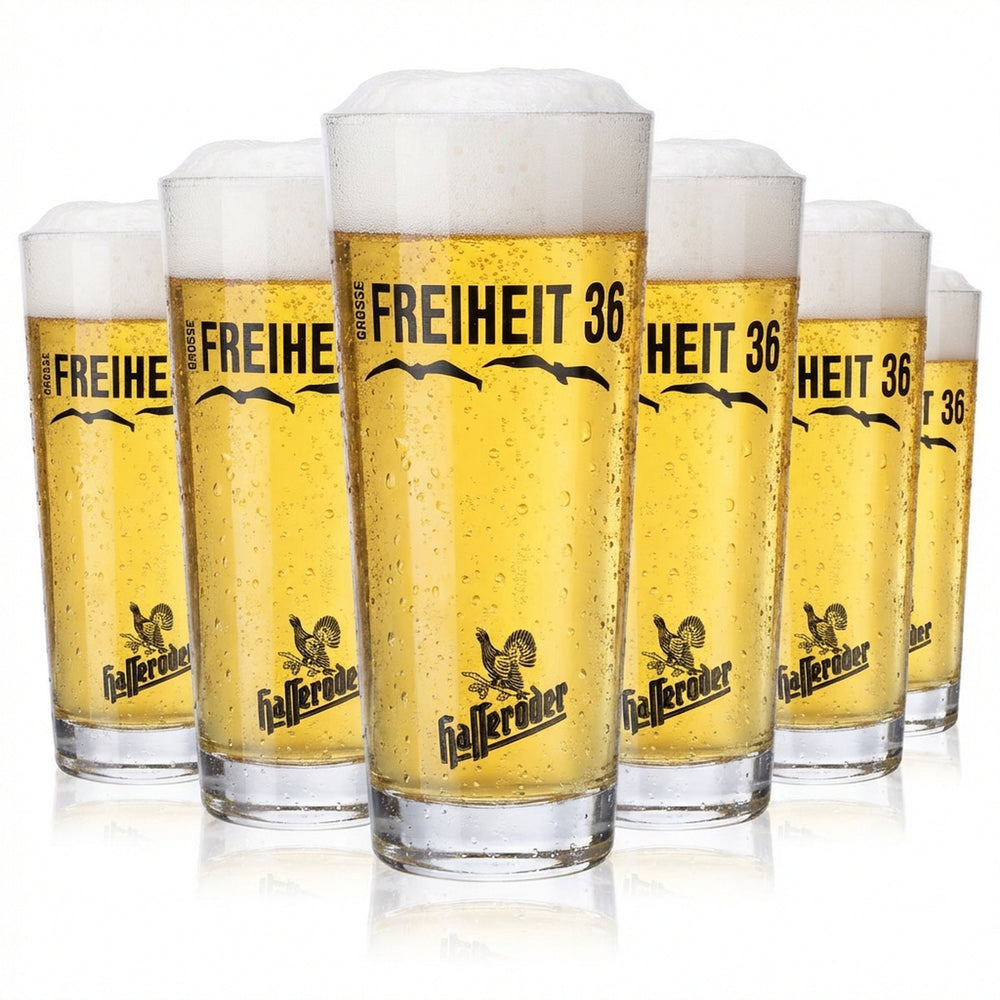 6x szklanki do piwa Hasseröder Szklanka do piwa 0,3 l Willibecher Große Freiheit 36