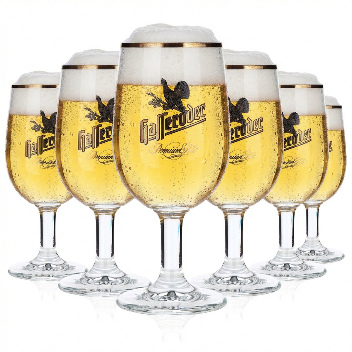 6x szklanki do piwa Hasseröder 0,2 l ze złotym brzegiem „Premium Pils” Ritzenhoff