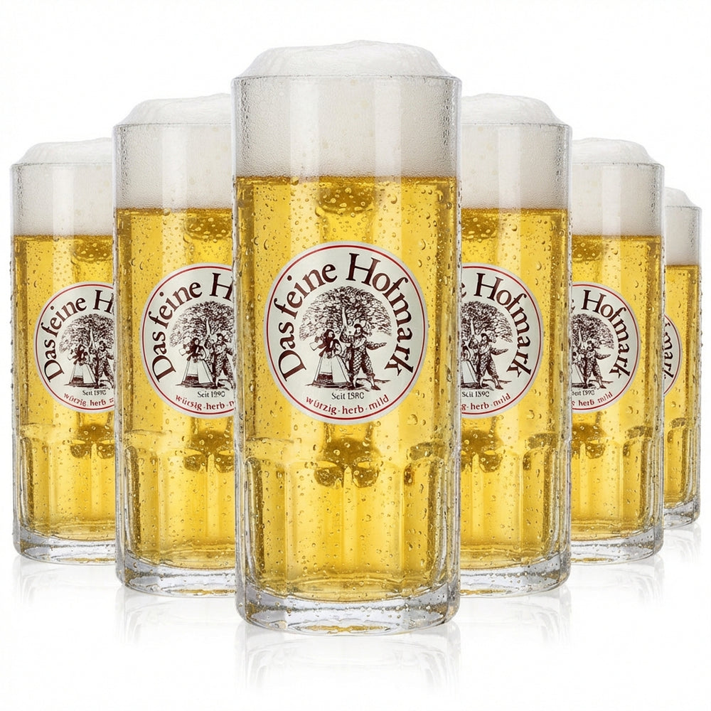6x Hofmark szklanka 0,3 l kufel do piwa Zestaw szklanek Hofmark Humpen Seidel Brauerei
