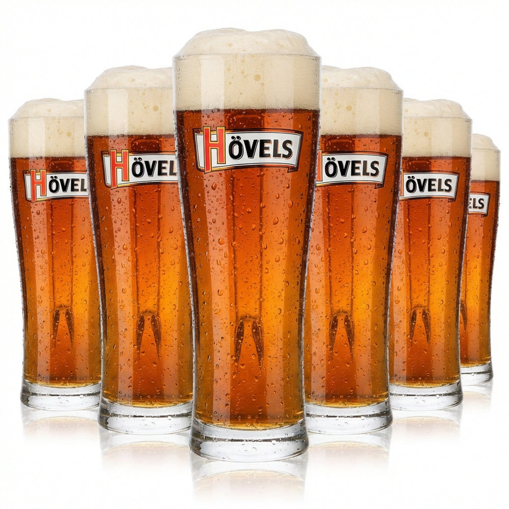 6x szklanka do piwa Hövels 0,3 l Szklanki Kufel do piwa Kielich do piwa Stożkowy Aspen