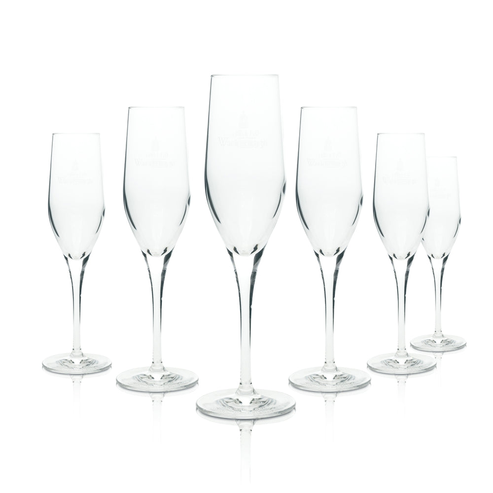 6x Schloß Wackerbarth Kieliszek do szampana 175ml Flet do szampana Wykwintne kieliszki do Prosecco