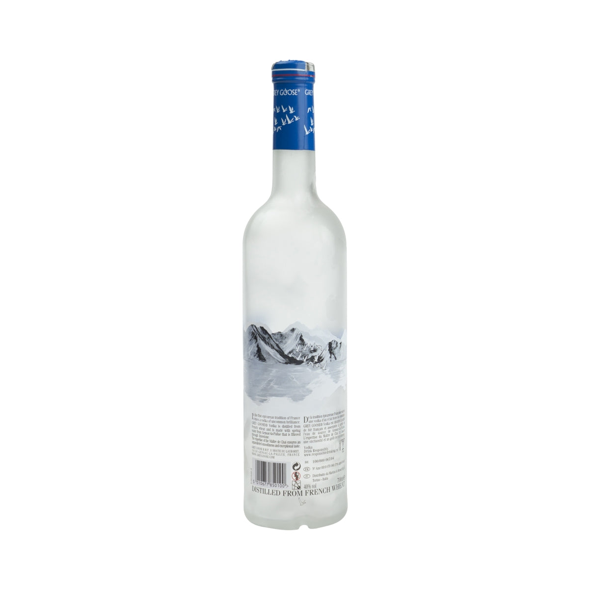 Grey Goose Vodka 0,7l pusta butelka dekoracja lampa skarbonka pusta butelka atrapa baru – Widok 2