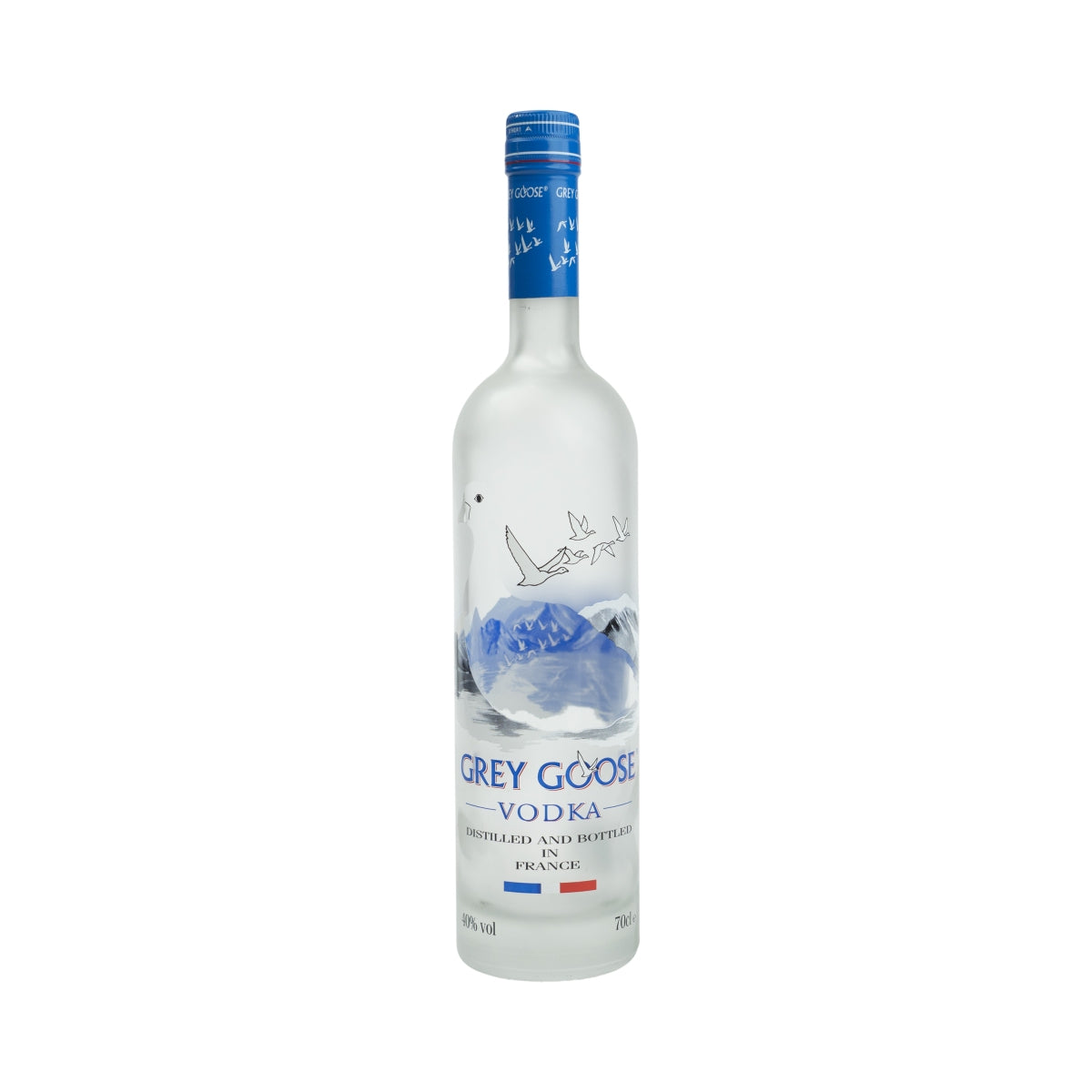 Grey Goose Vodka 0,7l Show Bottle EMPTY Dummy Display Deco Bar Dummie Empty