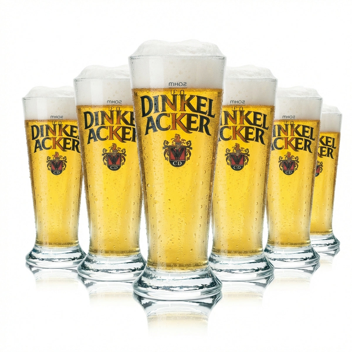 6x Dinkel Acker szklanka do piwa 0.3l kielich CD Sahm Pils tulipan szklanki browar retro