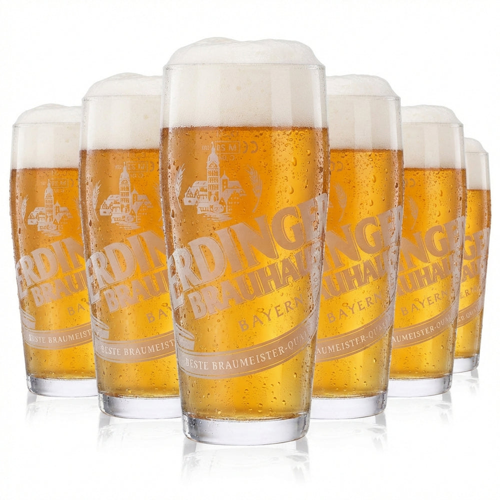 6x szklanka Erdinger 0,3 l piwo browarniane Willibecher kubek szklanki szklanka do piwa Weissbräu
