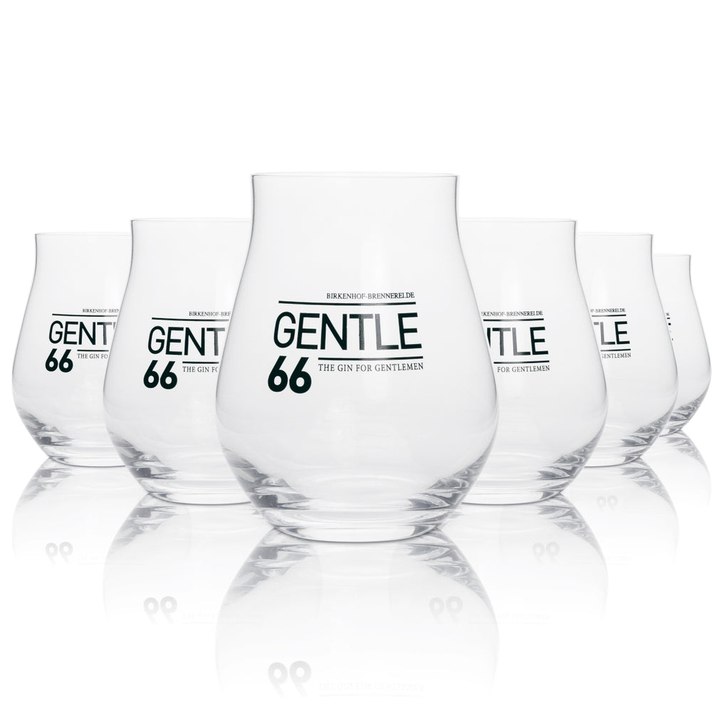 6x Szklanka Gentle66 0,42l Gin-Tonic Fizz Tumbler Longdrink Cocktail Balloon Glasses