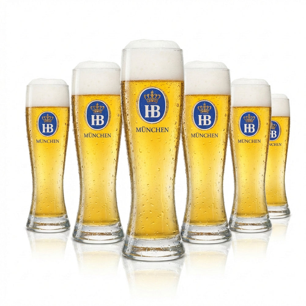 6x szklanka do piwa Hofbräu Munich 0,3l piwo pszeniczne Sahm HB szklanki do piwa pszenicznego Hefe Beer