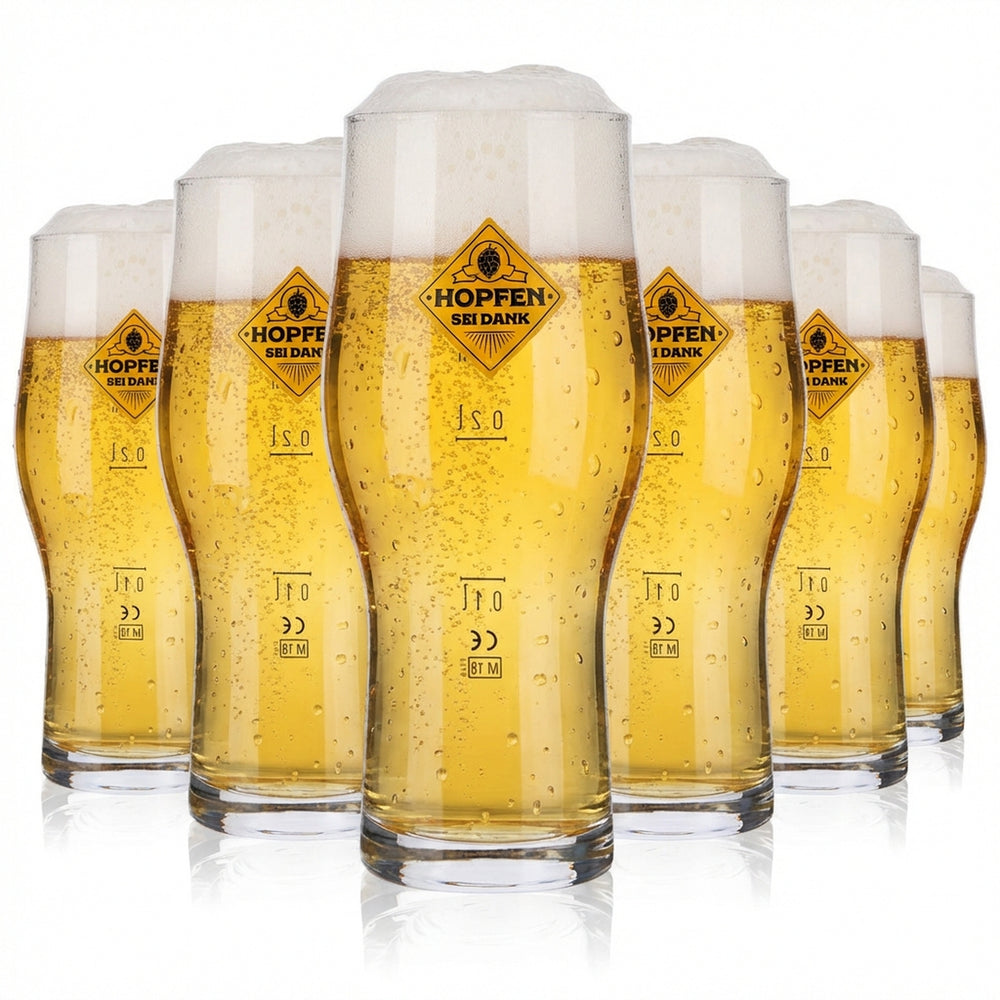 6x Chmiel dzięki piwo Szklanka 0,3 l Szklanki do piwa Craft Master Two