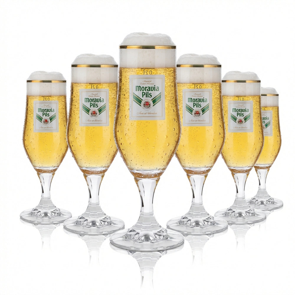 6x szklanka do piwa Moravia 0,2 l szklanka pucharowa złota obwódka Hopfenperle Pils zestaw szklanek browar