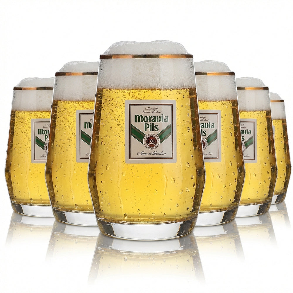 6x Moravia Szklanka 0,3 l Kufel do piwa Złota obwódka Höhr Grenzhausen Zestaw szklanek Browar