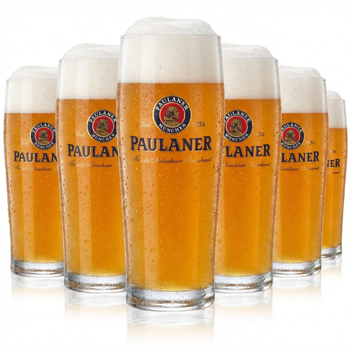 6x szklanka Paulaner Willibecher 0,3 l Szklanki Szklanki do piwa Kubki Sahm Gloria