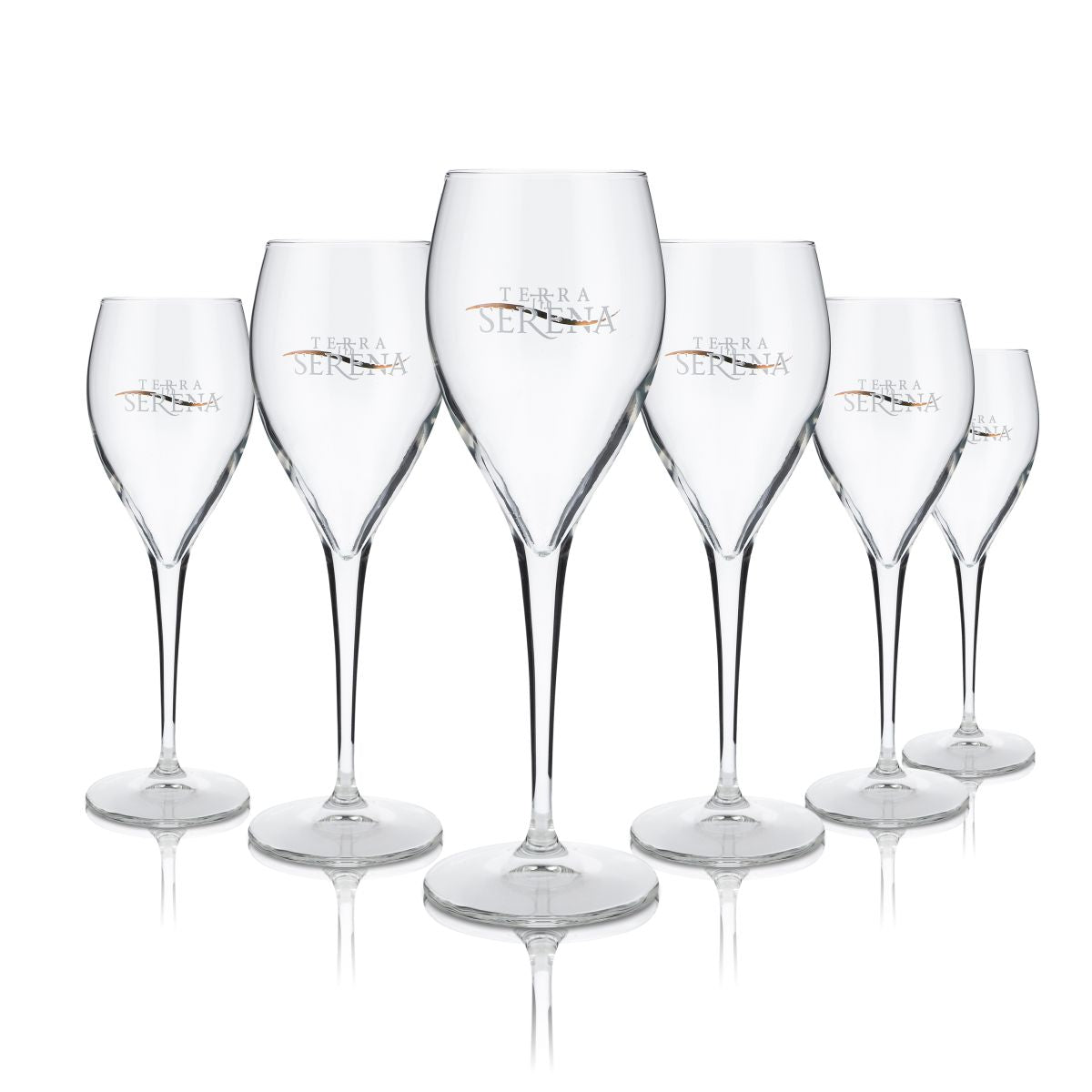 6x Terra Serena Glass 0,1l Champagne Flute Luce 22 Zestaw kieliszków do wina musującego Secco Gastro