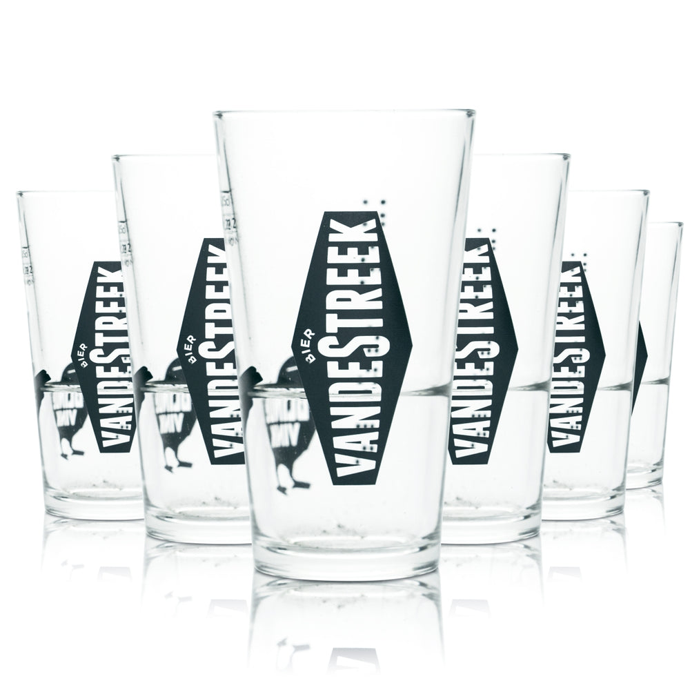 6x Vandestreek Glass 0.25l Beer Goblet Pint Mug Glasses Blind Vink Craftbeer