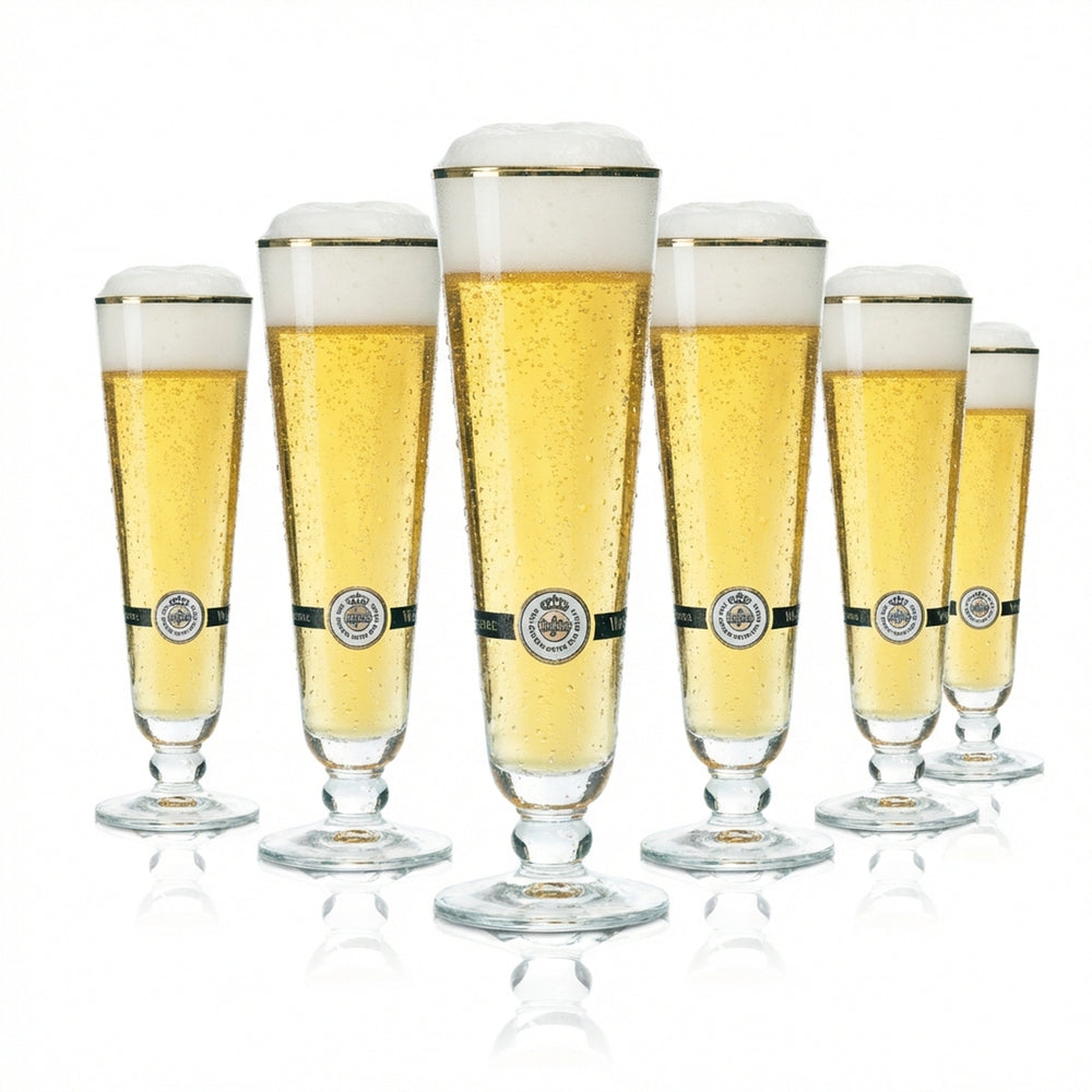 6x Warsteiner Beer Glass 0.2l Goblet Gold Rim Pilsner Glasses Tulip Stange Beer Brew