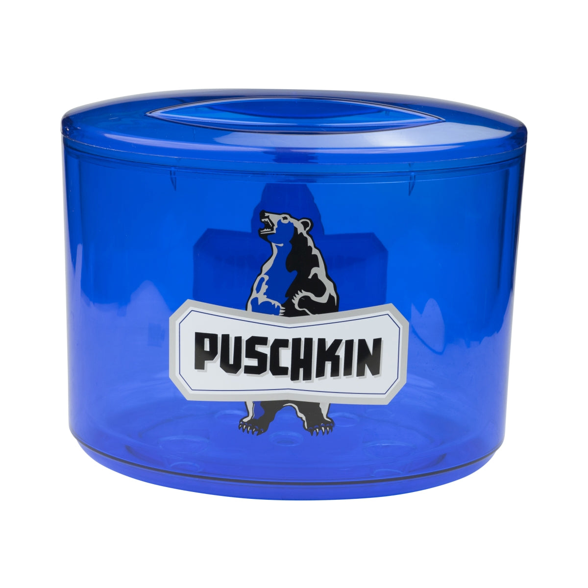 Pushkin Vodka Ice Cube Box Cooler Container Lid Cooler Ice Thermo Gastro